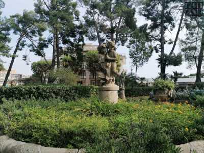 In mezzo all�area fa invece mostra di s� una fontana ormai ricolma di vegetazione...